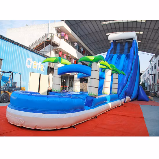 Kommerzielle Wasserrutsche für Kinder/Erwachsene im Freien, N-Slip-Bounce-Rutsche, tropischer doppelter aufblasbarer Wasserrutsche-Pool